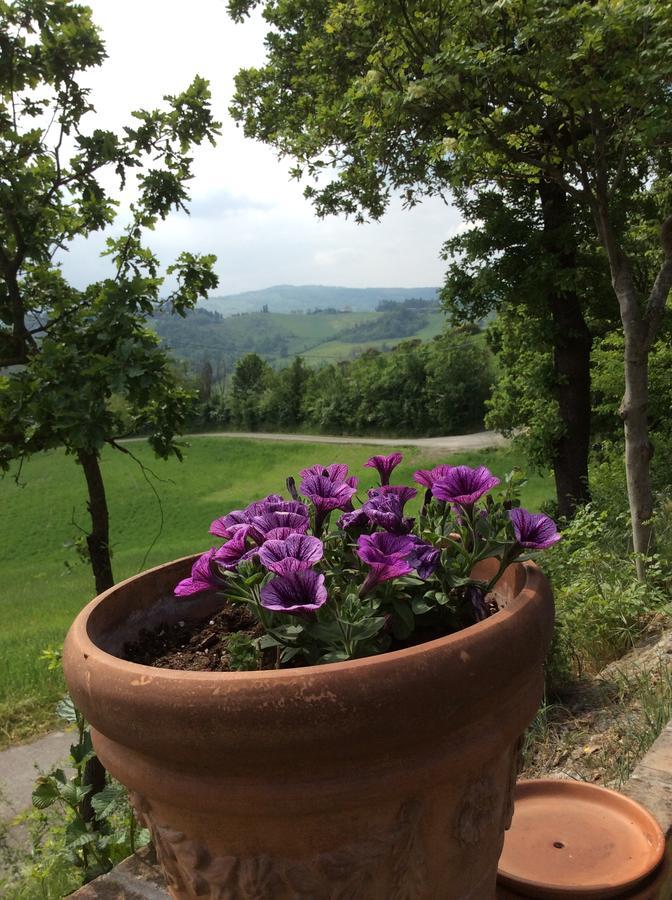 Agriturismo Ca Lunati 호텔 Castelletto Mendosio 외부 사진