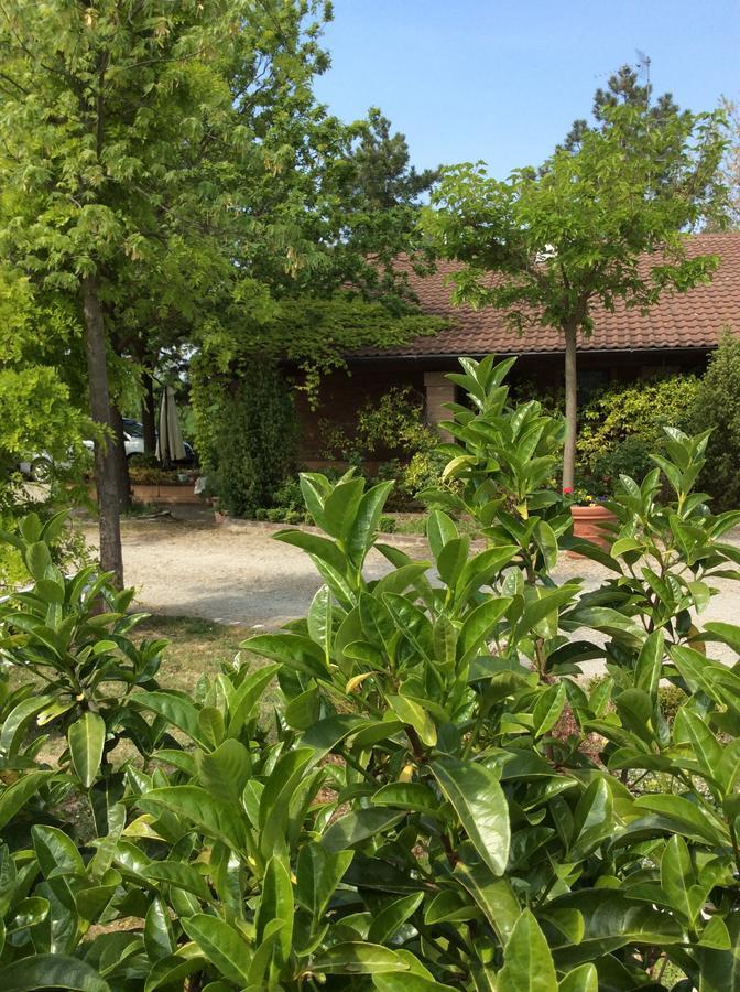 Agriturismo Ca Lunati 호텔 Castelletto Mendosio 외부 사진